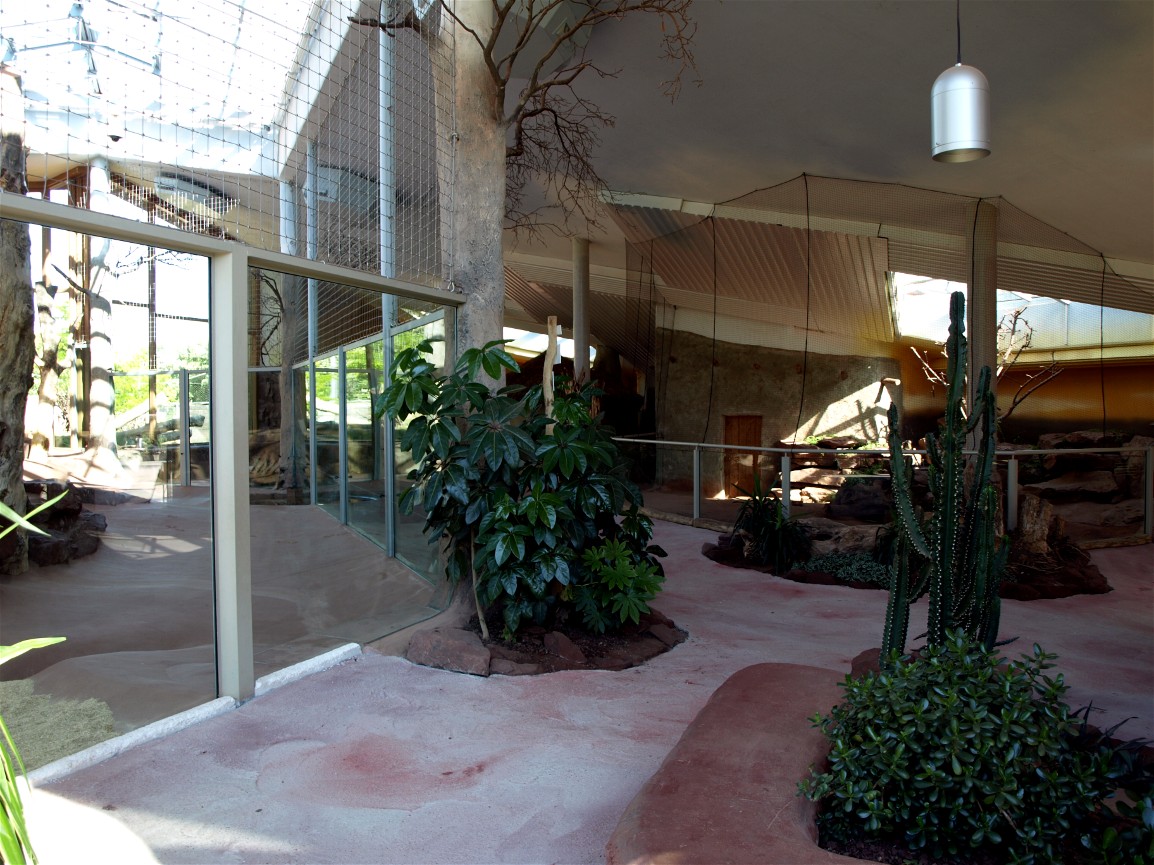 Erfurt Zoo - Lion Savannah
