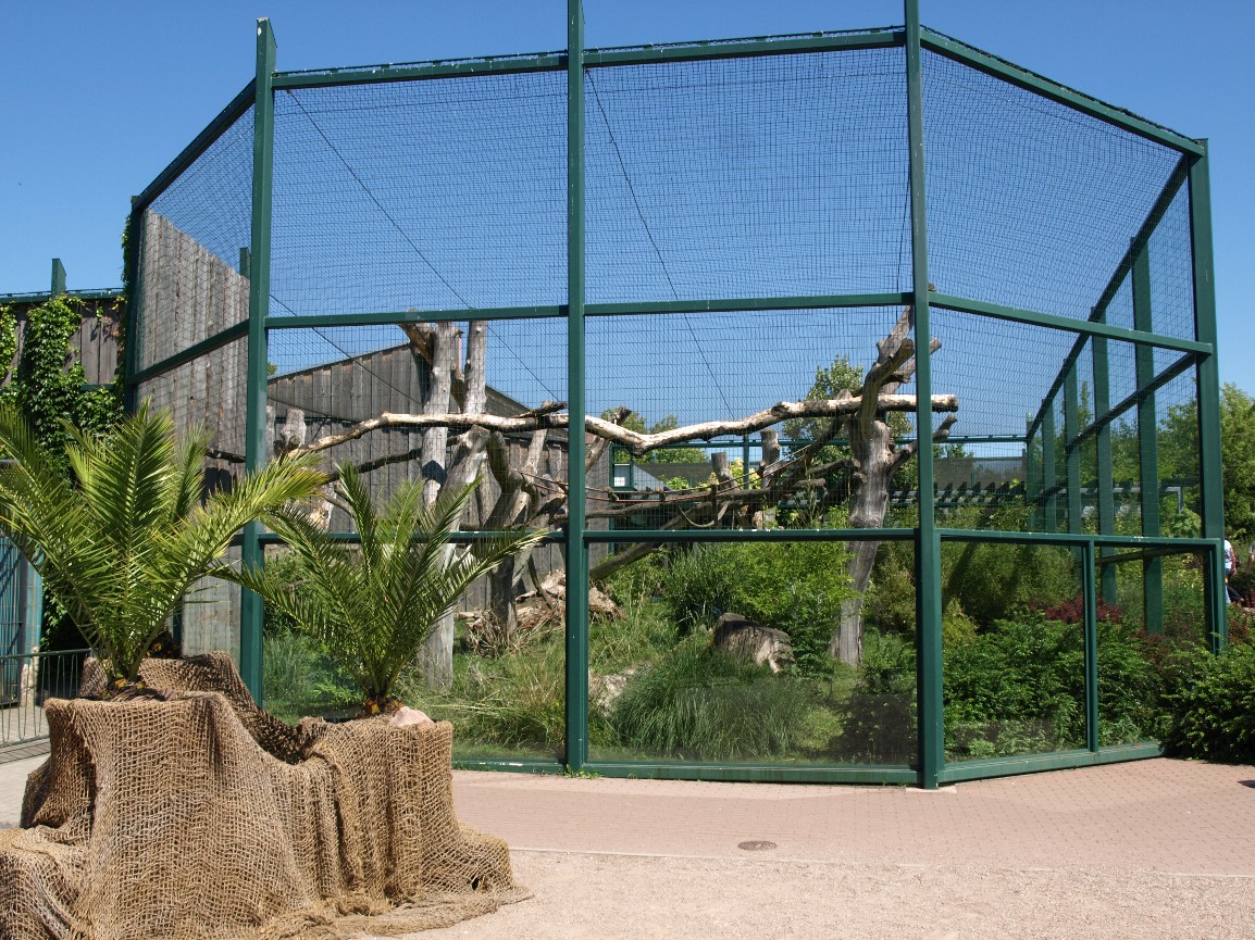 Erfurt Zoo - Monkey Jungle