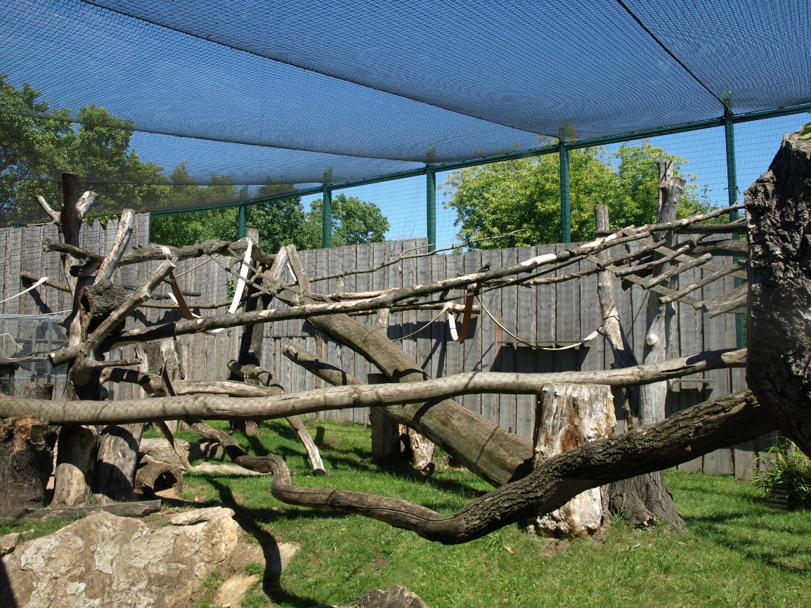 Erfurt Zoo - Monkey Jungle