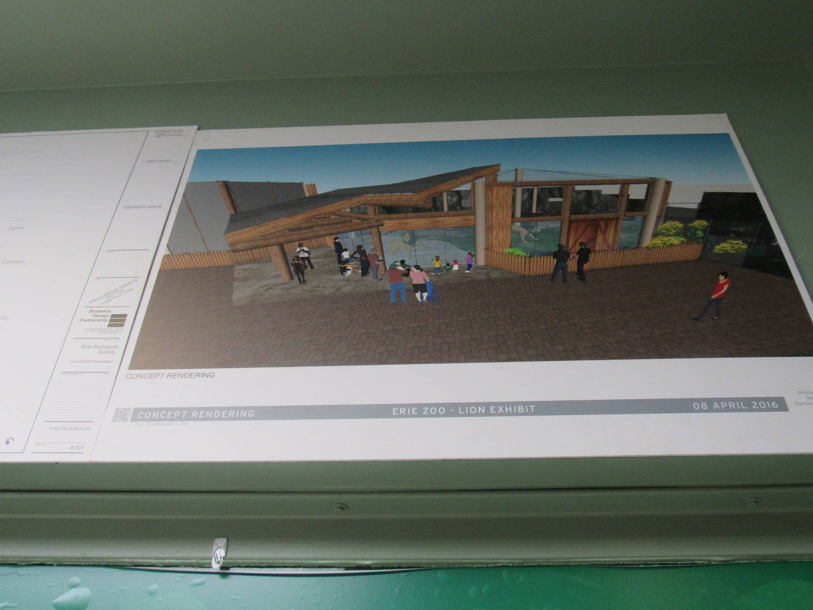 Erie Zoo Outdoor Lion Exhibit Plans