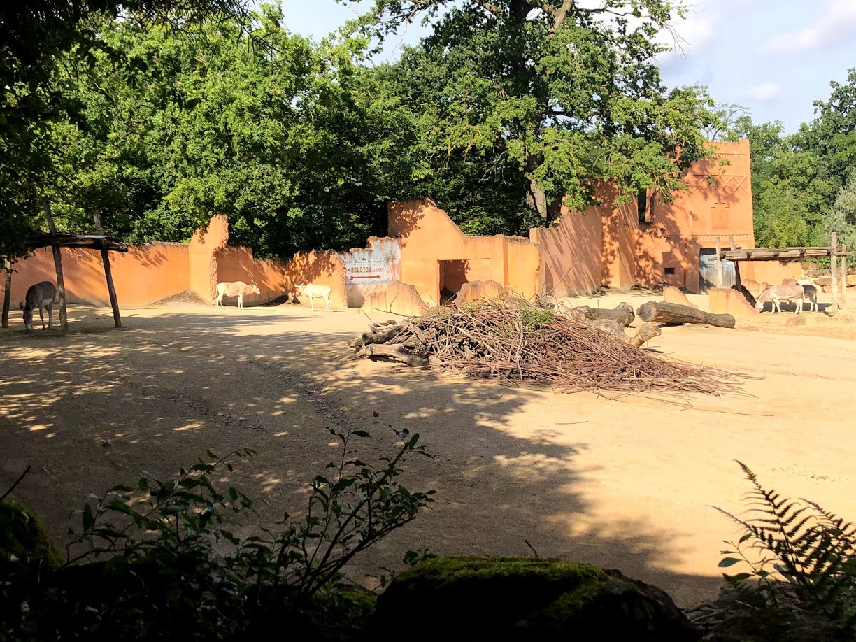 Erlebnis-Hannover- addax and wild ass enclosure- 2020