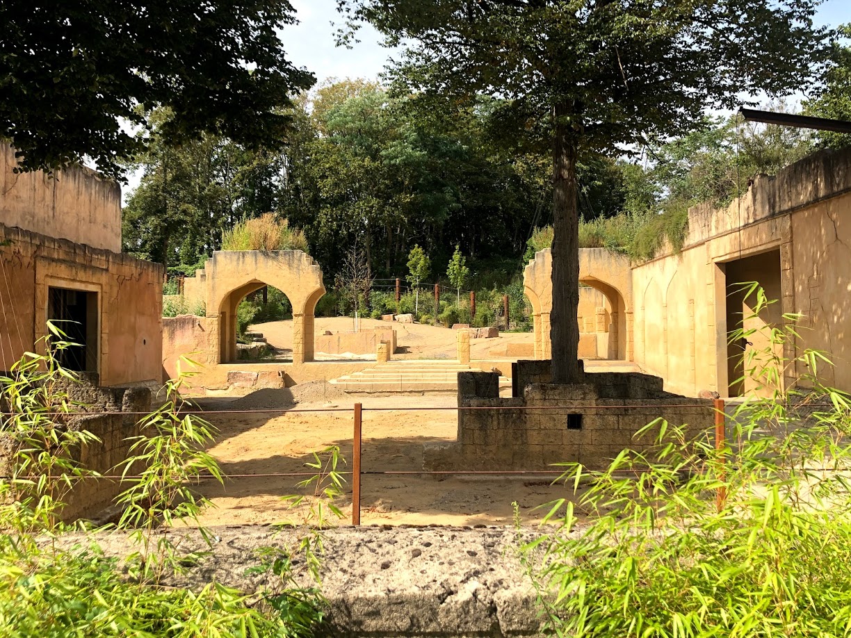 Erlebnis-Zoo Hannover- Aisan elephant bull exhibit- 2020