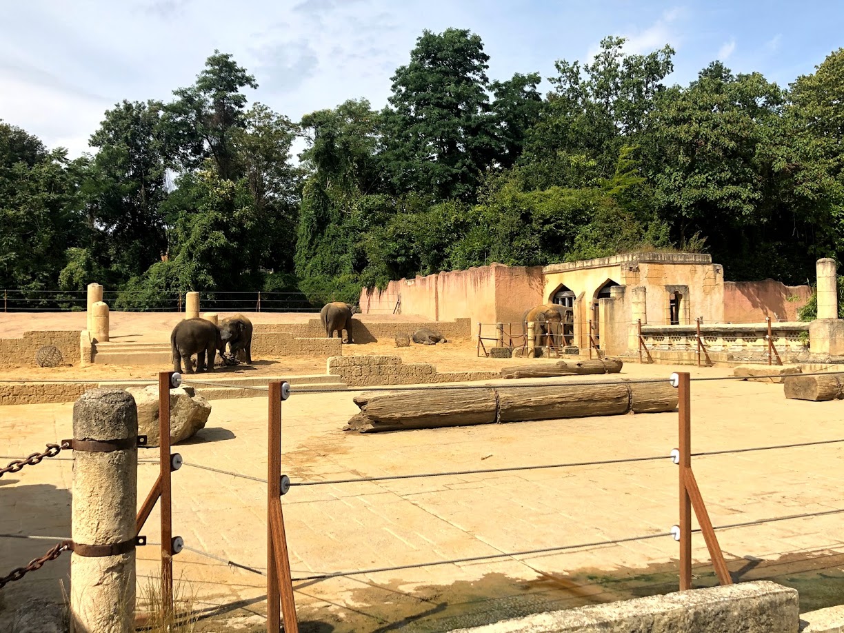Erlebnis-Zoo Hannover- Asian elephant enclosure- 2020
