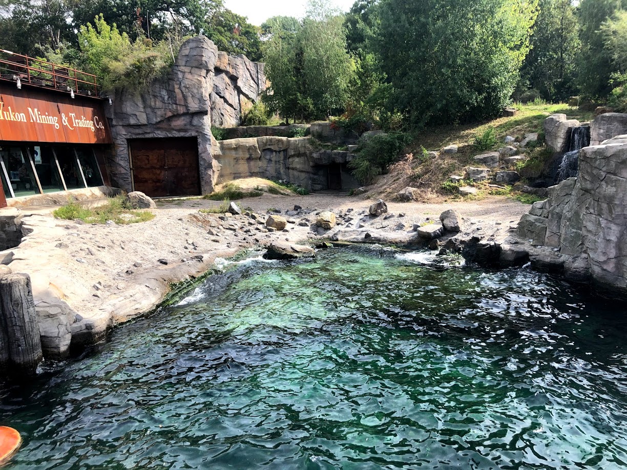 Erlebnis-Zoo Hannover- bigger polar bear enclosure- 2020