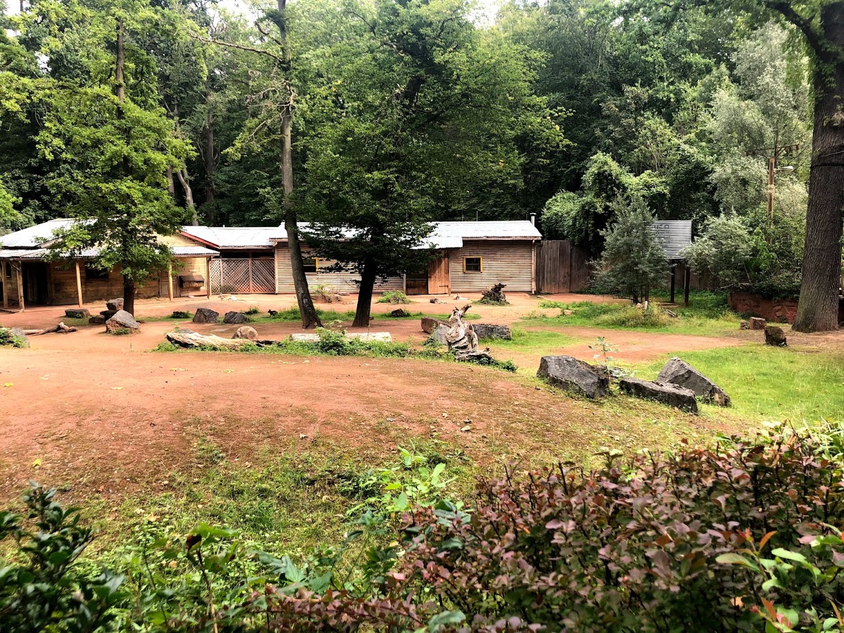 Erlebnis-Zoo Hannover- kangaroo and emu enclosure