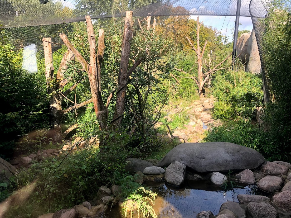 Erlebnis-Zoo Hannover- left part of drill exhibit- 2020