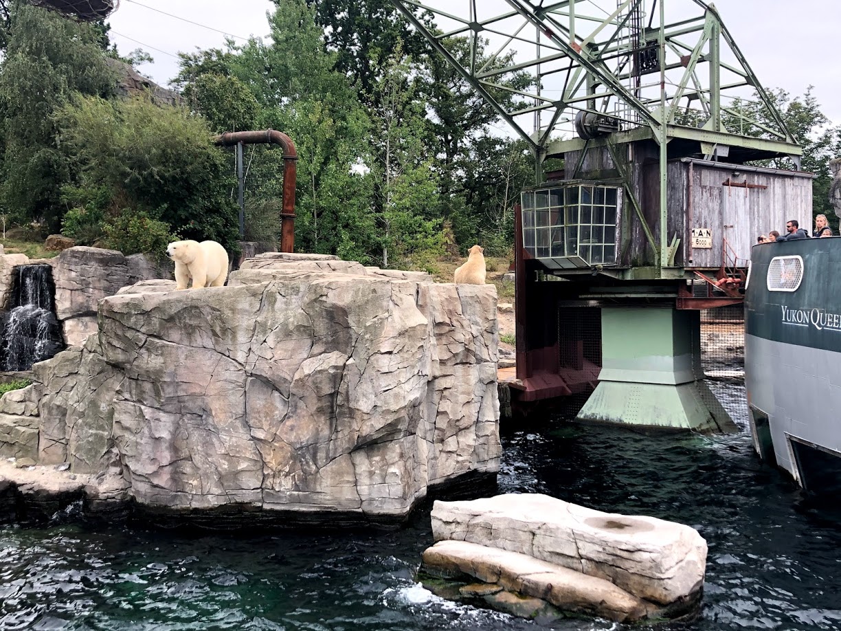 Erlebnis-Zoo Hannover- Milana with her daughter Nana- 2020