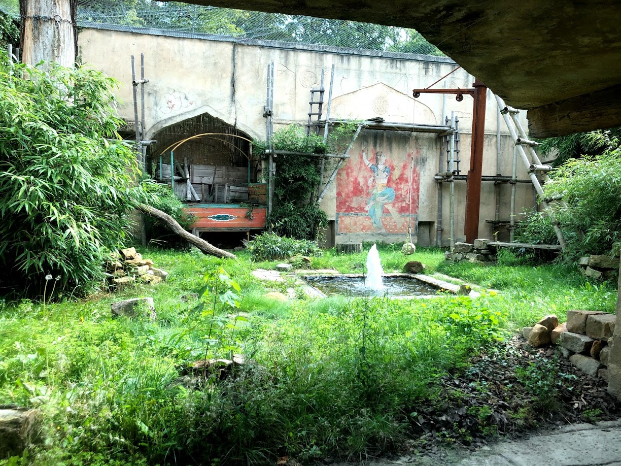 Erlebnis-Zoo Hannover.- Persian leopard exhibit- 2020