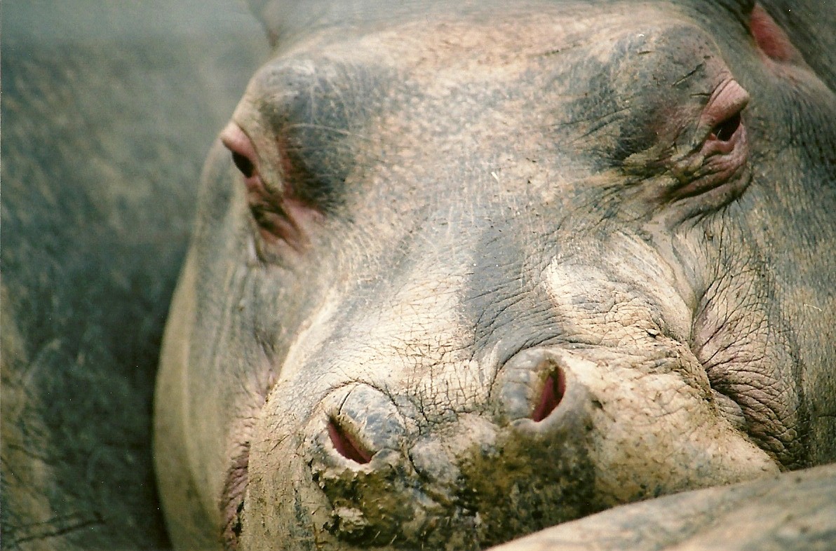 Ernie winter opening 2005/06