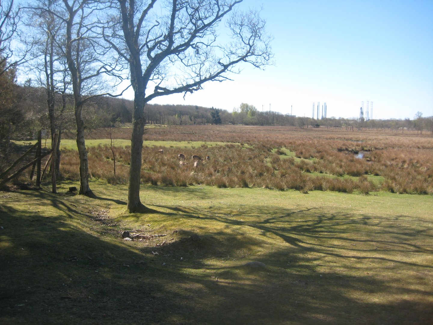 Esbjerg Dyrehave - General view