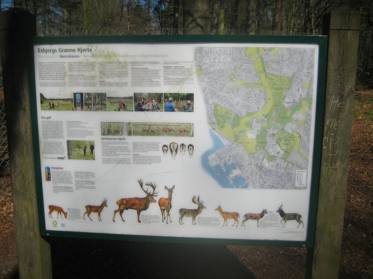 Esbjerg Dyrehave - Signage