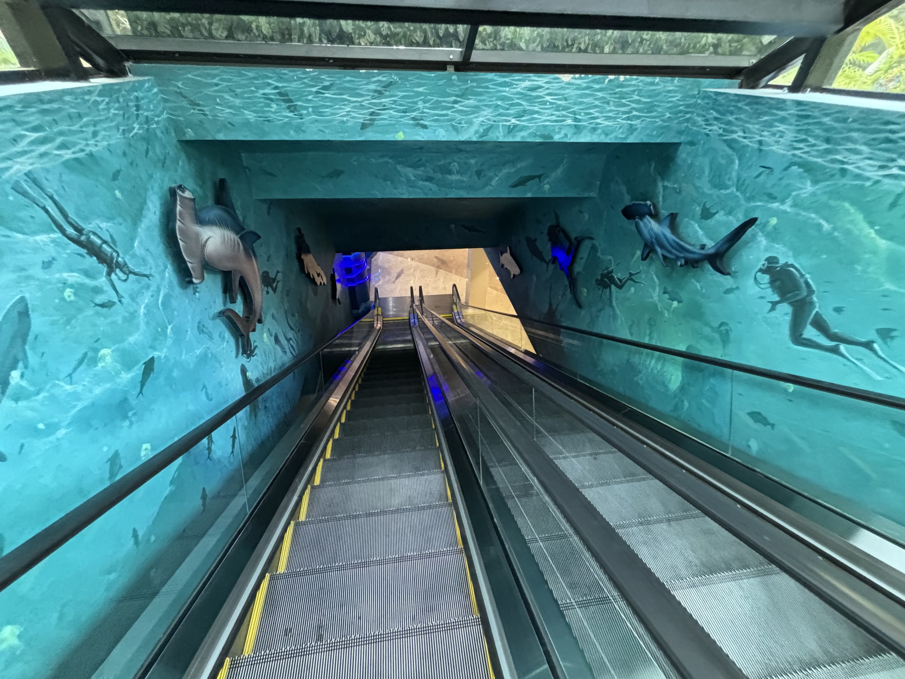Escalator - BXSea Aquarium