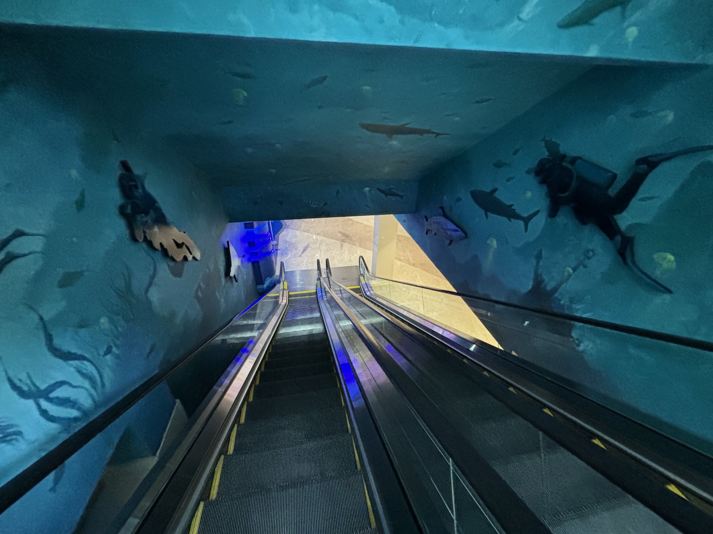 Escalator - BXSea Aquarium