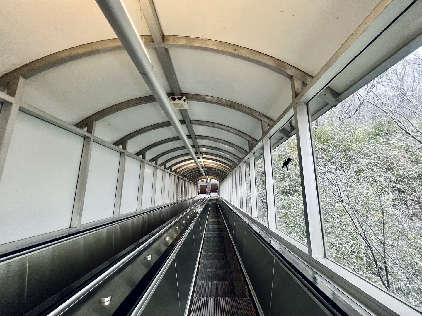 Escalator from Zoo Entrance to Parking Lot
