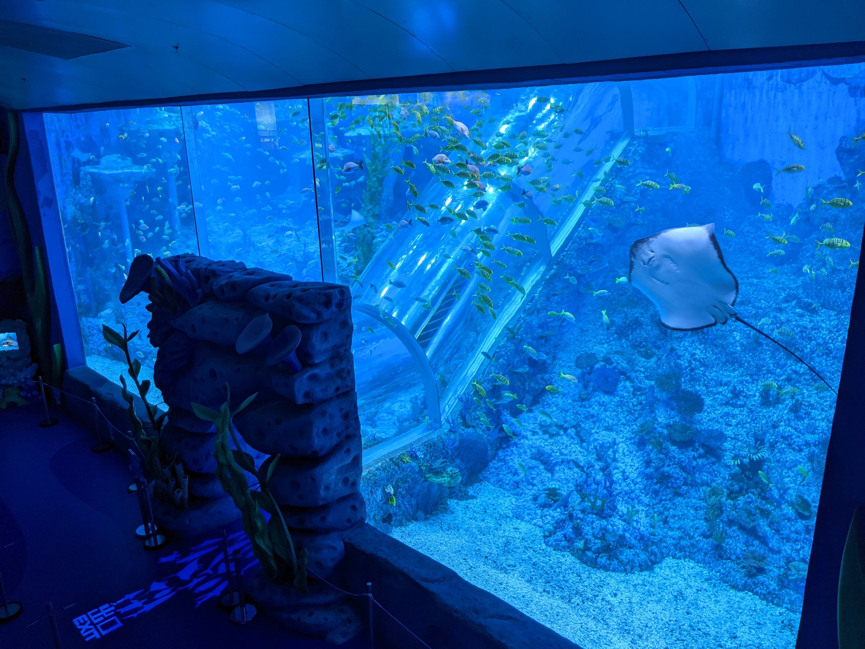 Escalator tank - Ocean World (Guangzhou)