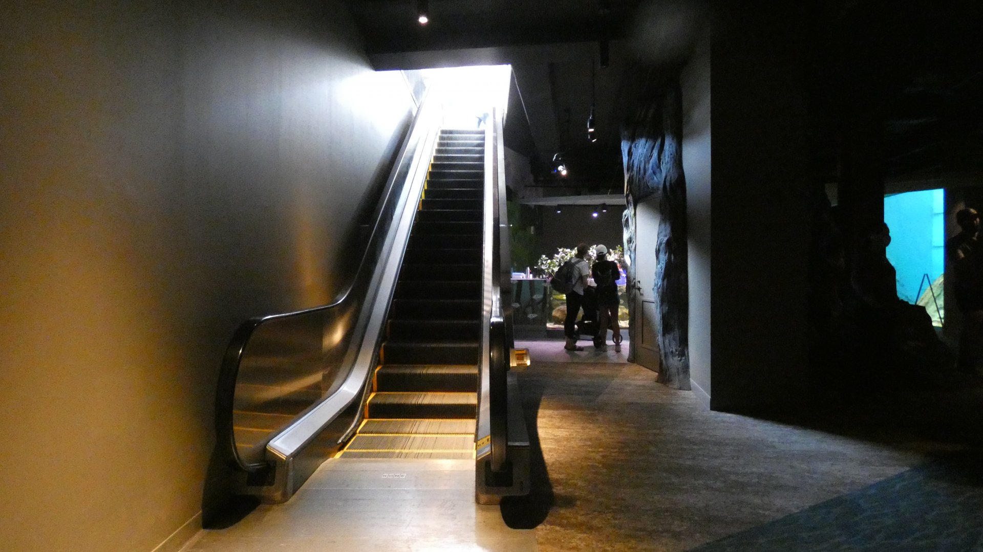 Escalator to Upstairs - Mar. 2022