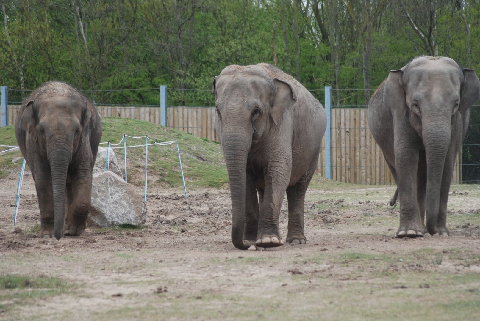 Esha, Minbu and Noorjahan