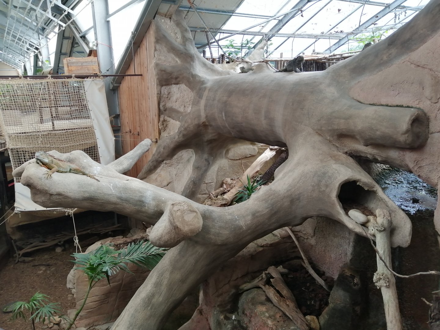 Espace Aventure : South American exhibit