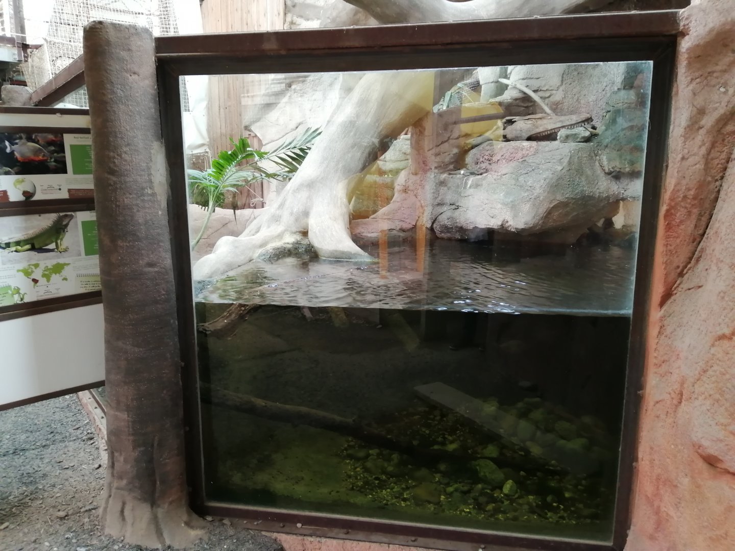 Espace Aventure : South American exhibit