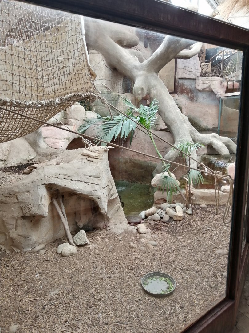 Espace Aventure : South American exhibit