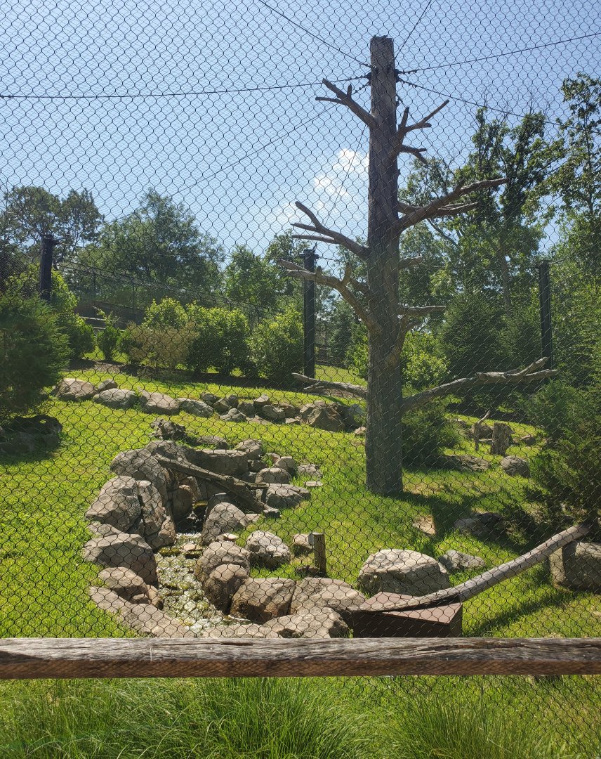 Essex County Turtle Back Zoo (2022) - Andean Condor enclosure