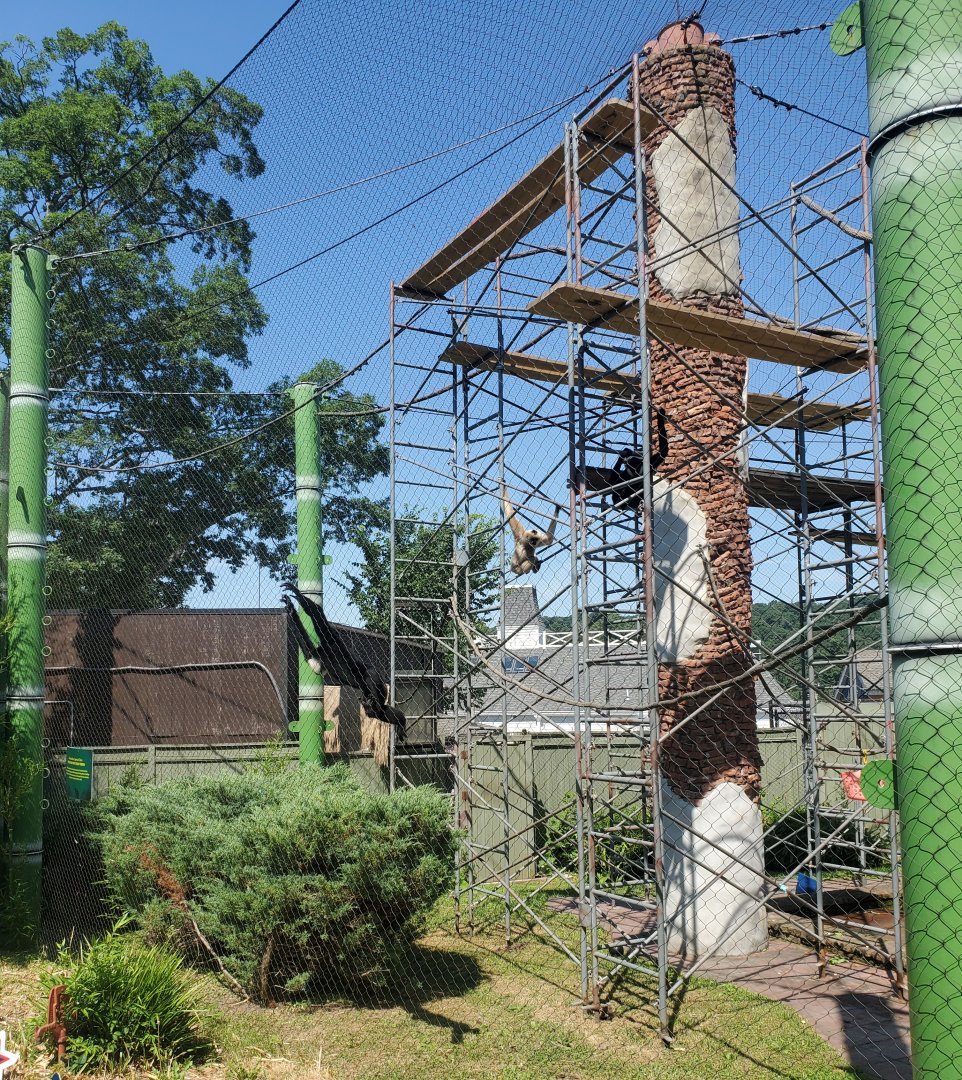 Essex County Turtle Back Zoo (2022) - Gibbon enclosure