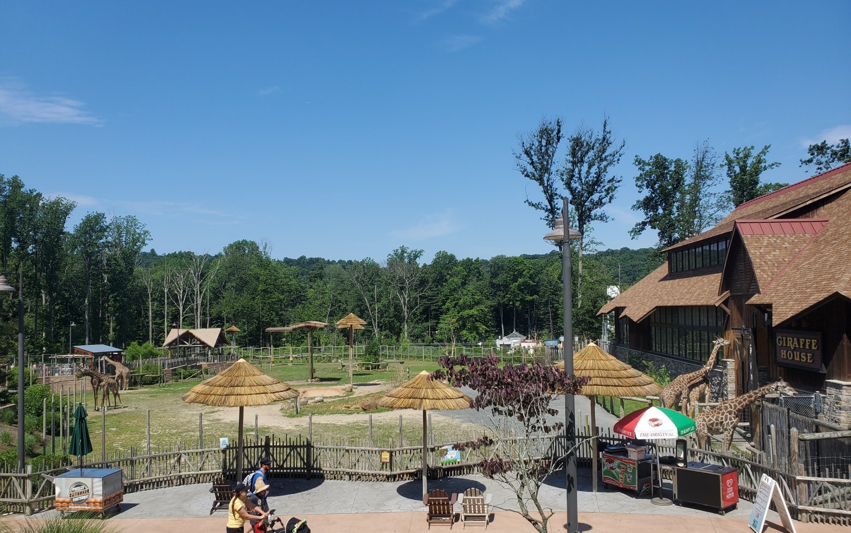 Essex County Turtle Back Zoo (2022) - Giraffe outdoor exhibit