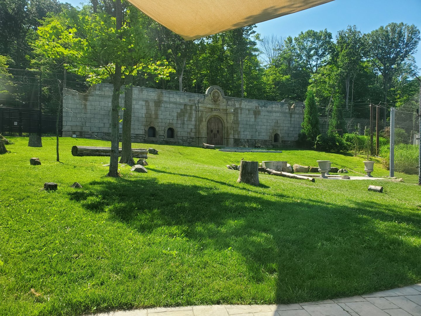 Essex County Turtle Back Zoo (2022) - Lion exhibit