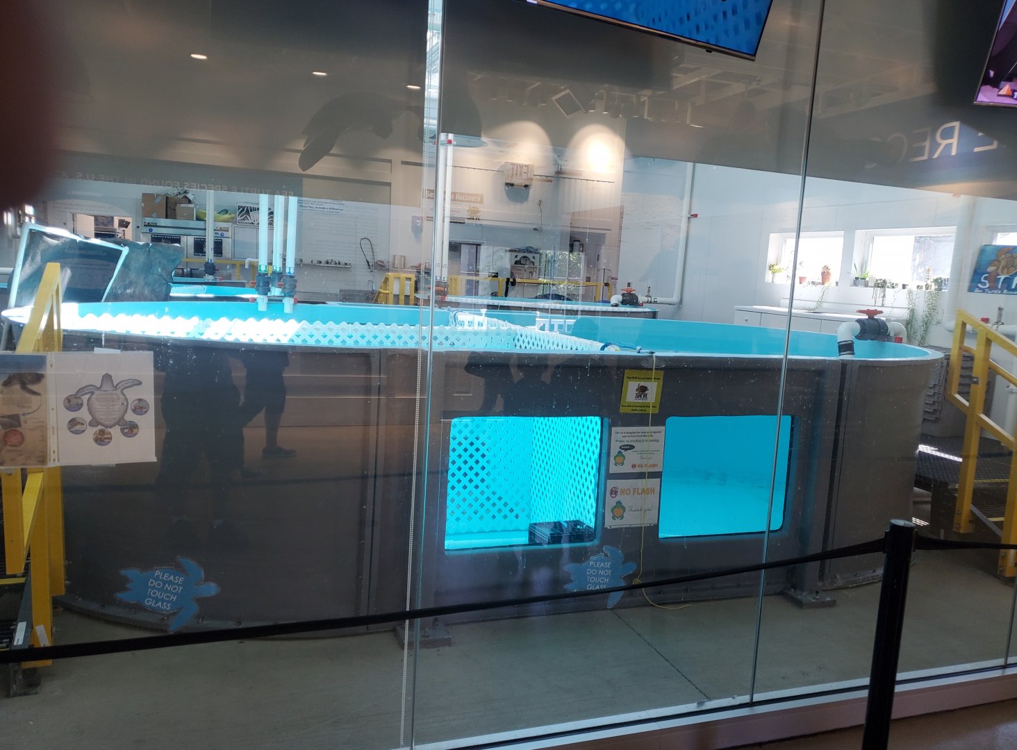 Essex County Turtle Back Zoo (2022) - Sea Turtle Recovery Room