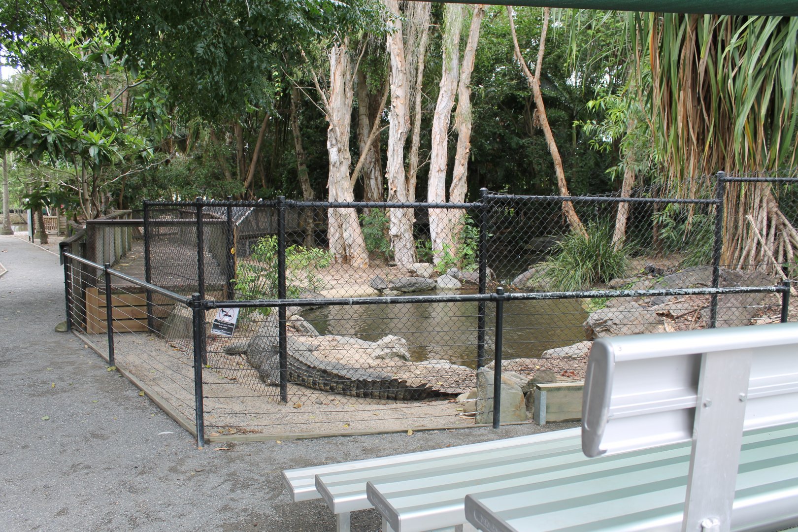Estuarine Crocodile exhibit