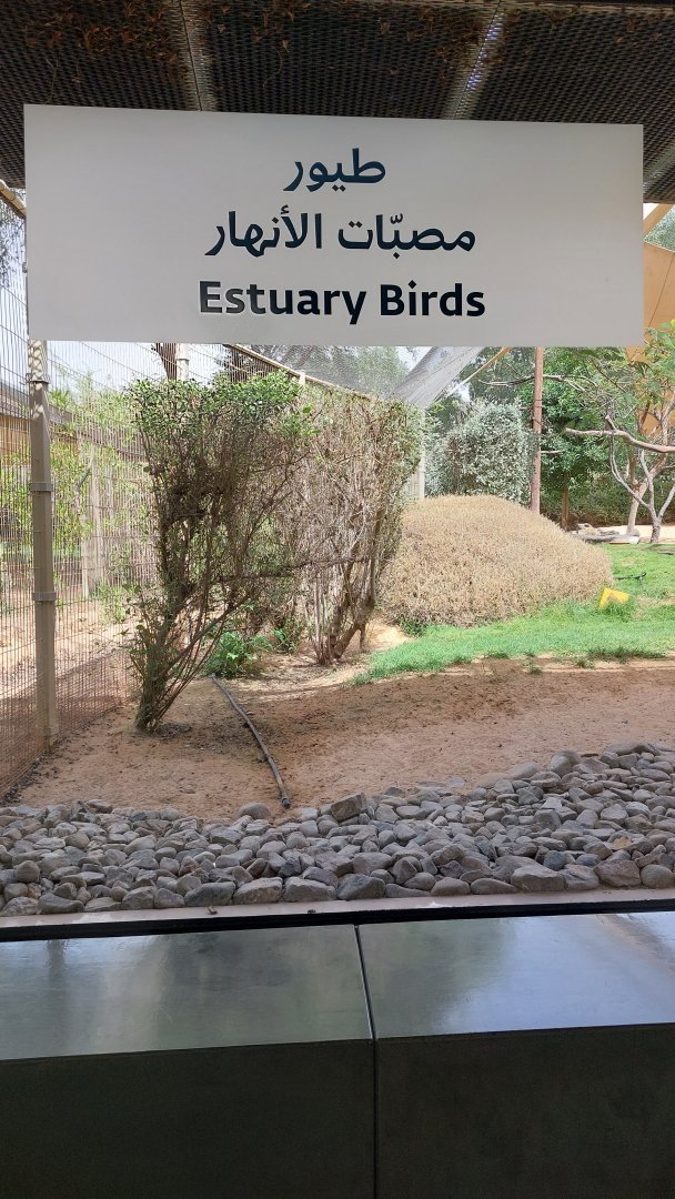Estuary Birds aviary