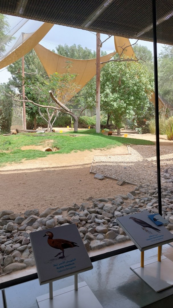 Estuary Birds aviary