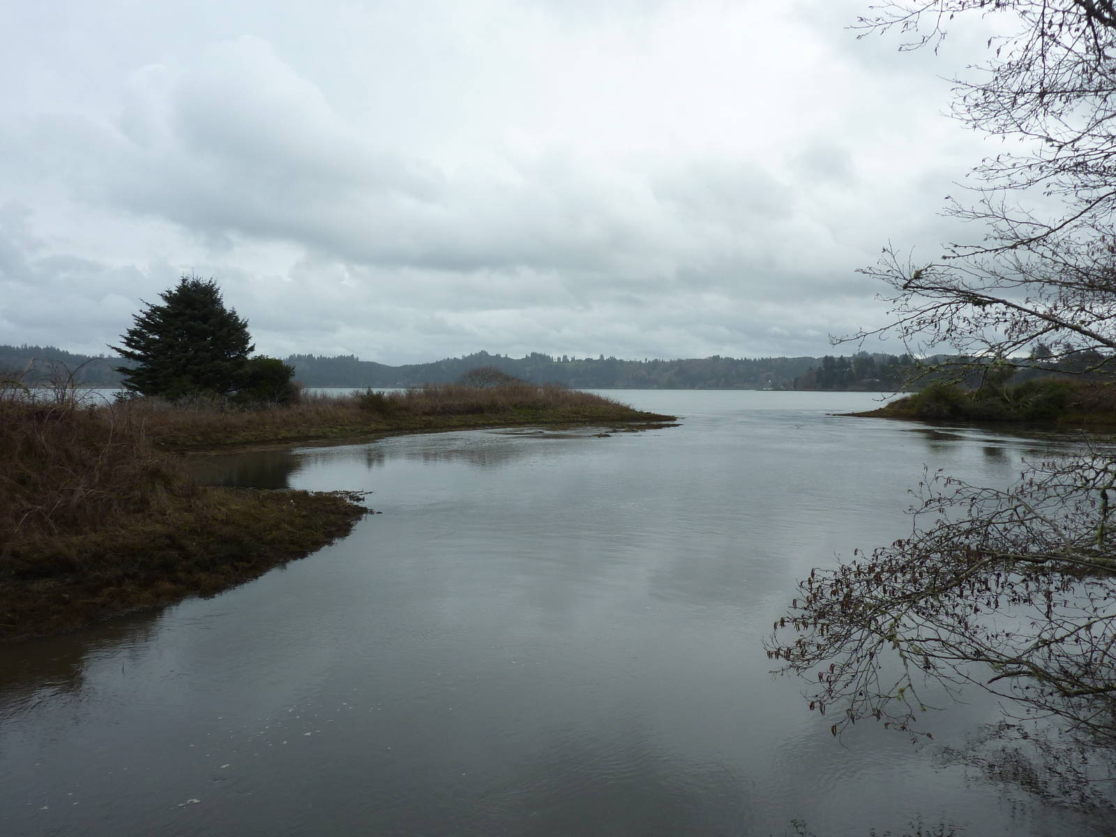Estuary Lookout Point