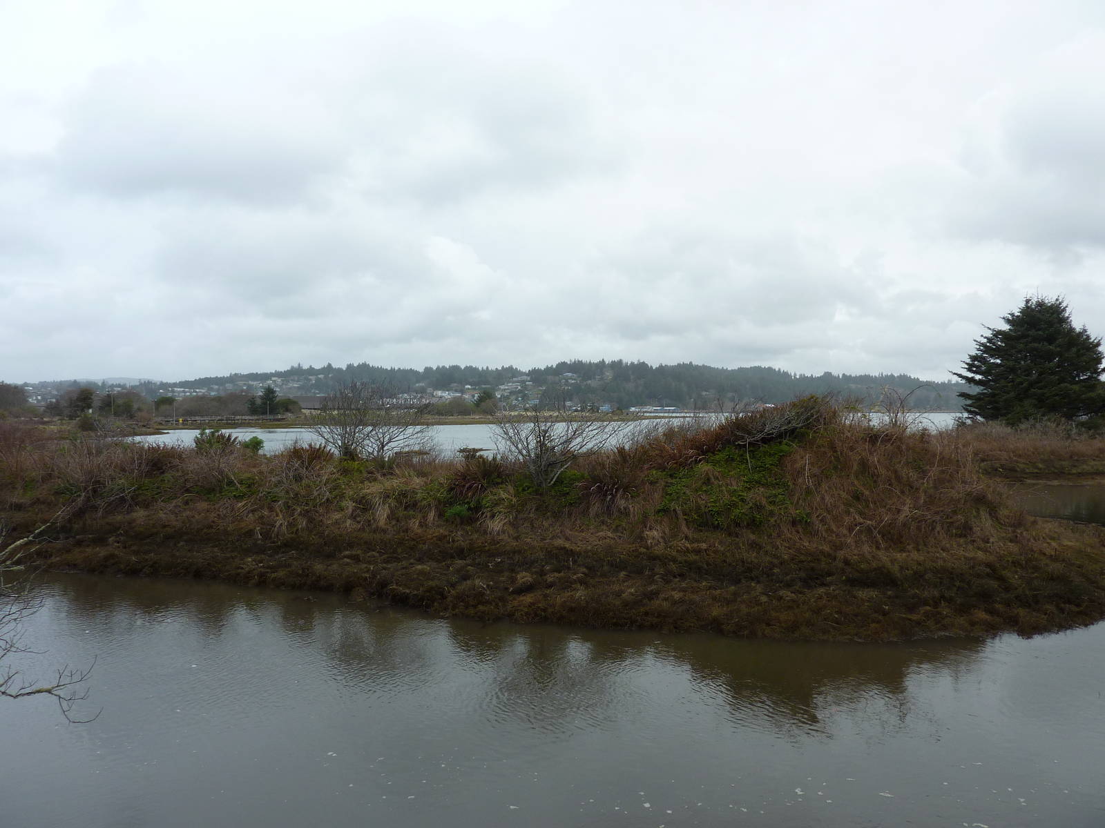 Estuary Lookout Point
