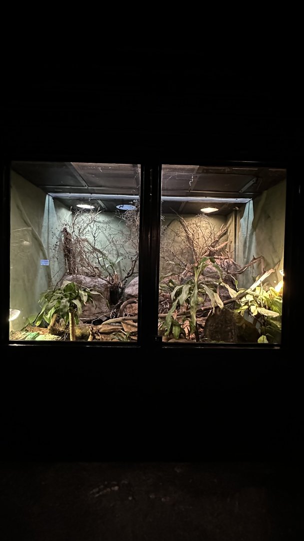 Ethiopian Highlands Terrarium