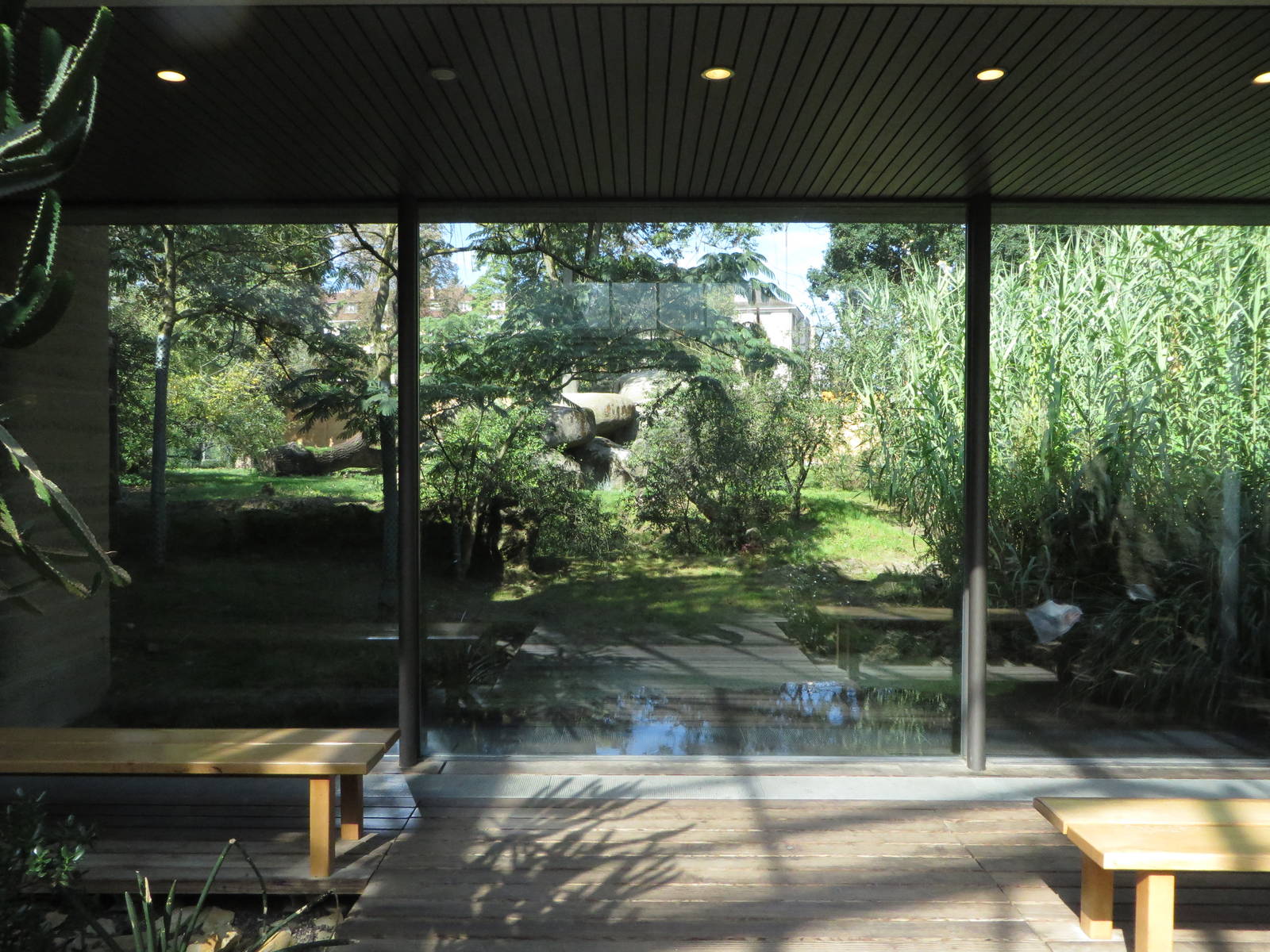 Ethosha house - cheetah viewing