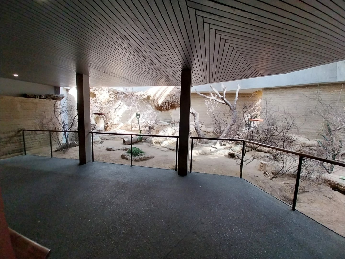 Etoscha-haus - Main enclosure