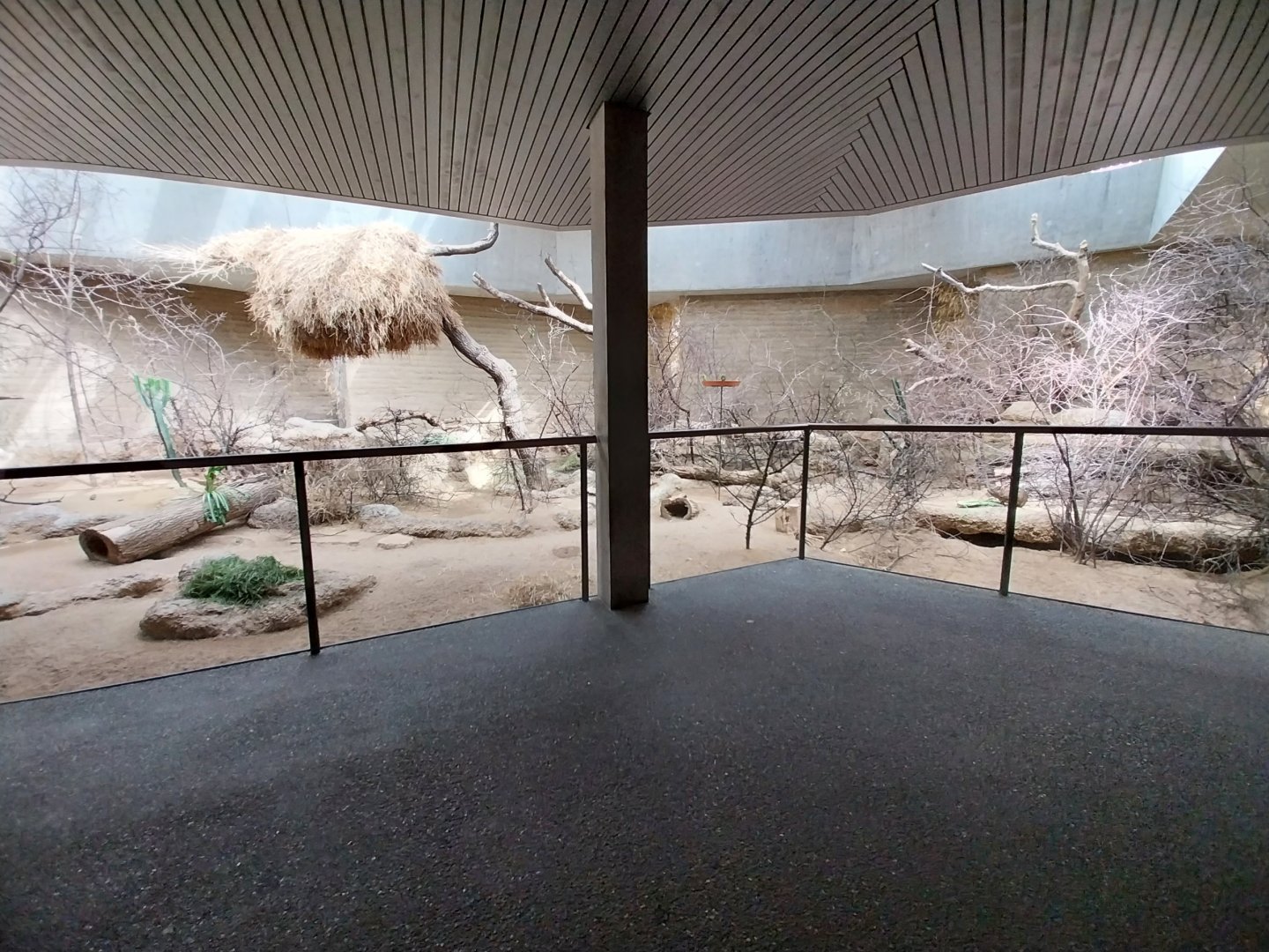 Etoscha-haus - Main enclosure