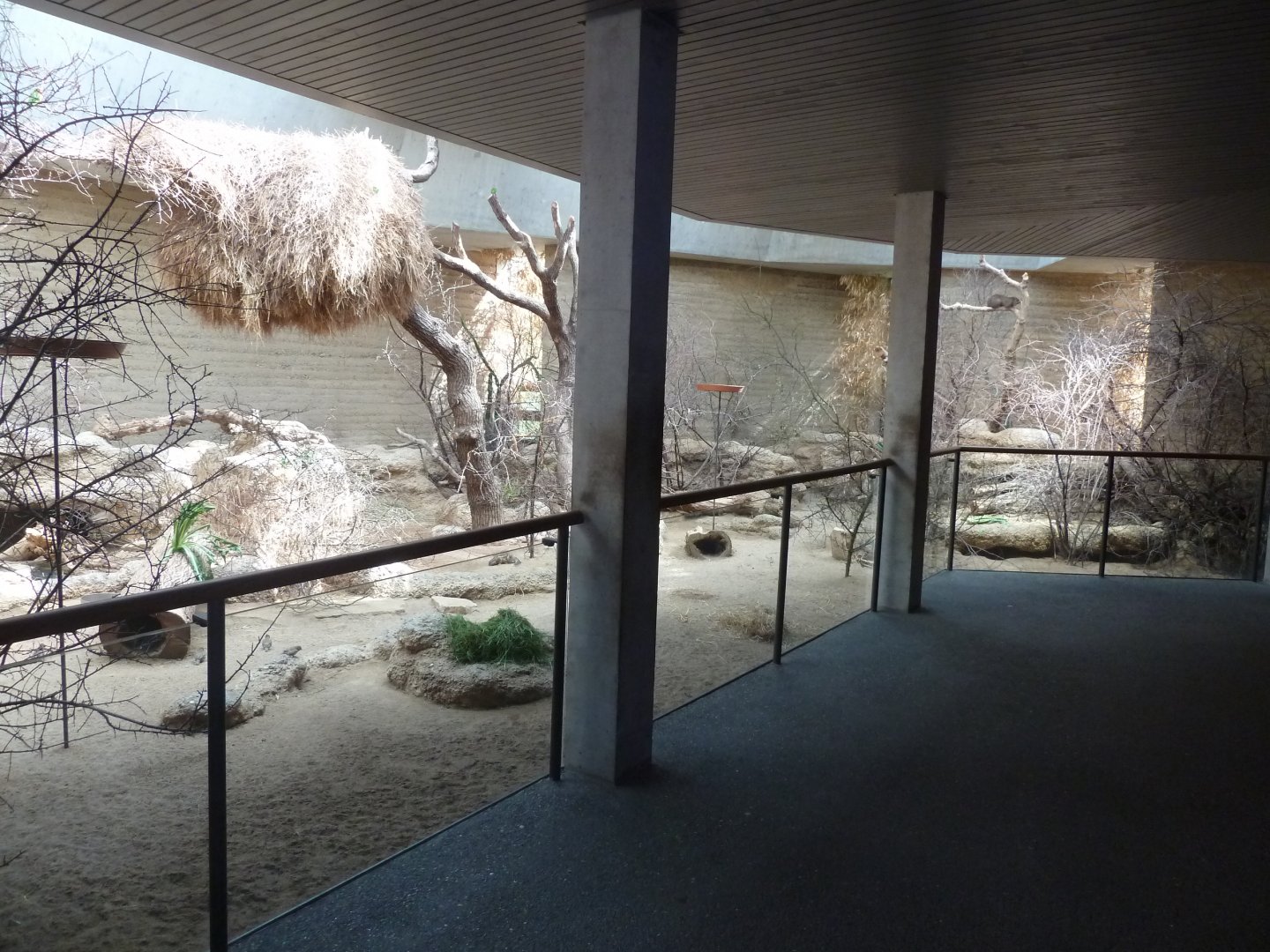 Etoscha-haus - Main enclosure