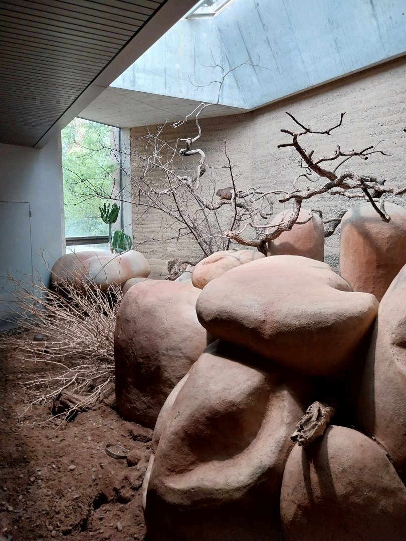 Etoscha-haus - Meerkat enclosure