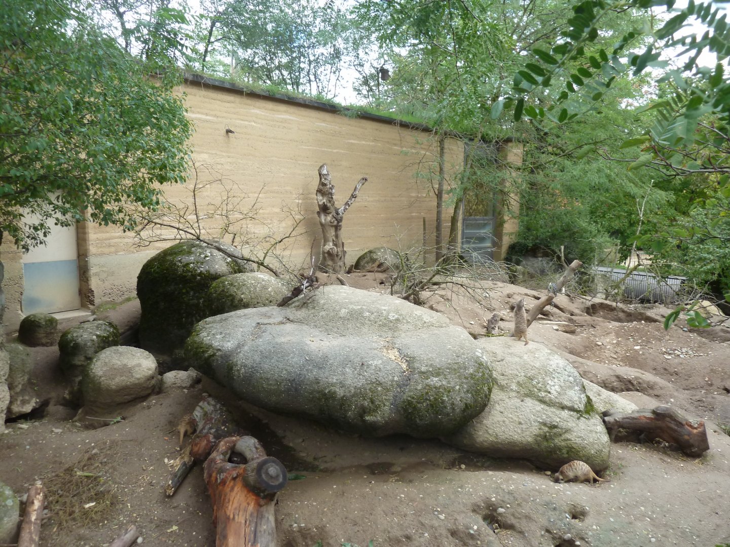 Etoscha-haus - Meerkat enclosure