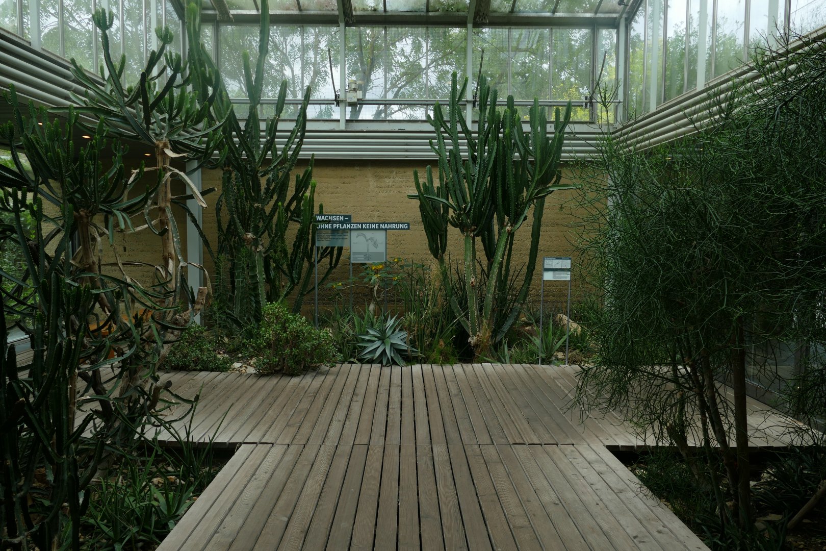 Etoscha Haus- Nephila Spider Walkthrough