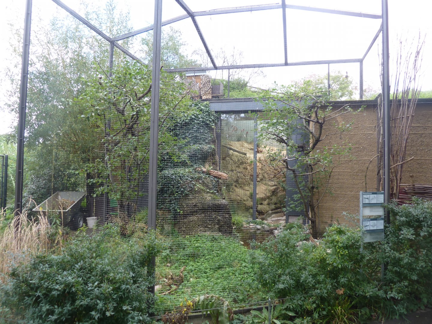 Etoscha-haus - Northern carmine bee-eater aviary (Merops nubicus)