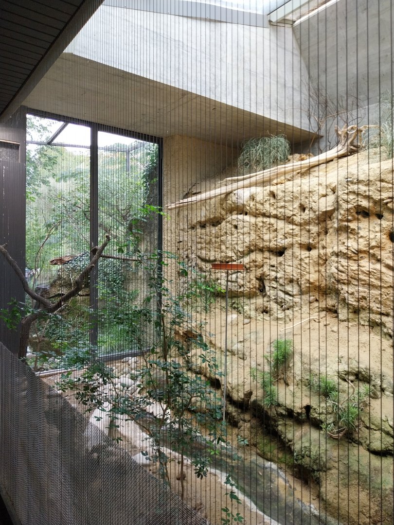 Etoscha-haus - Northern carmine bee-eater exhibit (Merops nubicus)