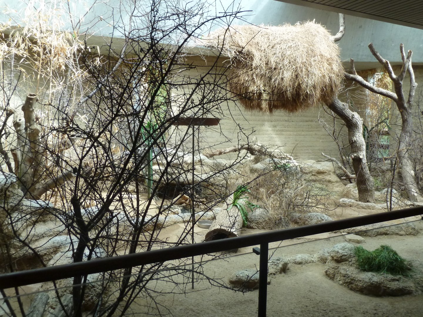 Etoscha-haus - Sociable weaver nest