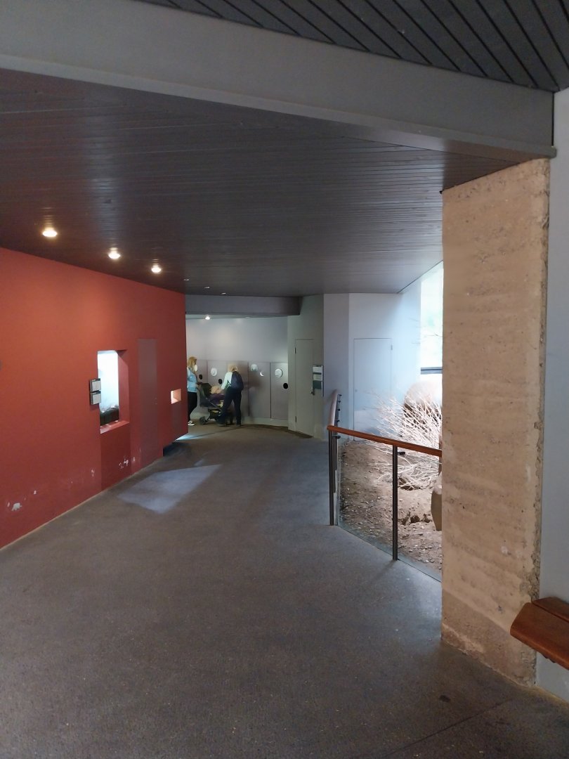 Etoscha-haus - Visitor area