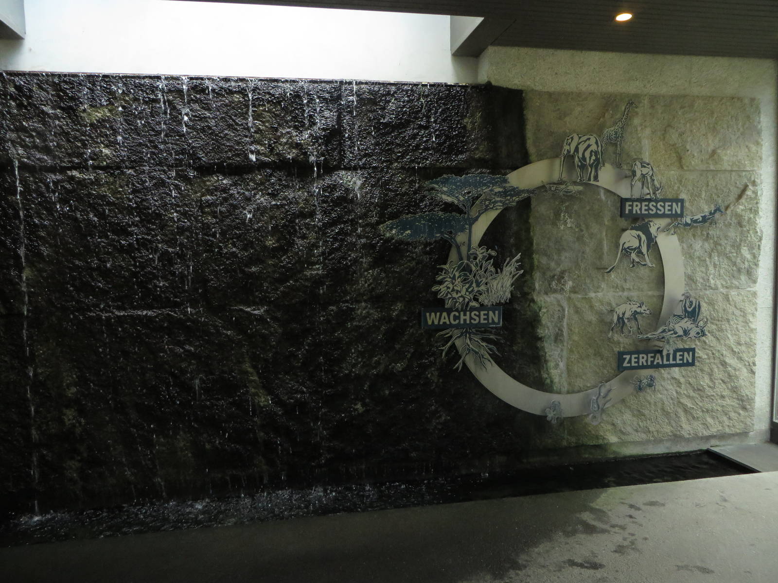 Etosha house - entrance hall