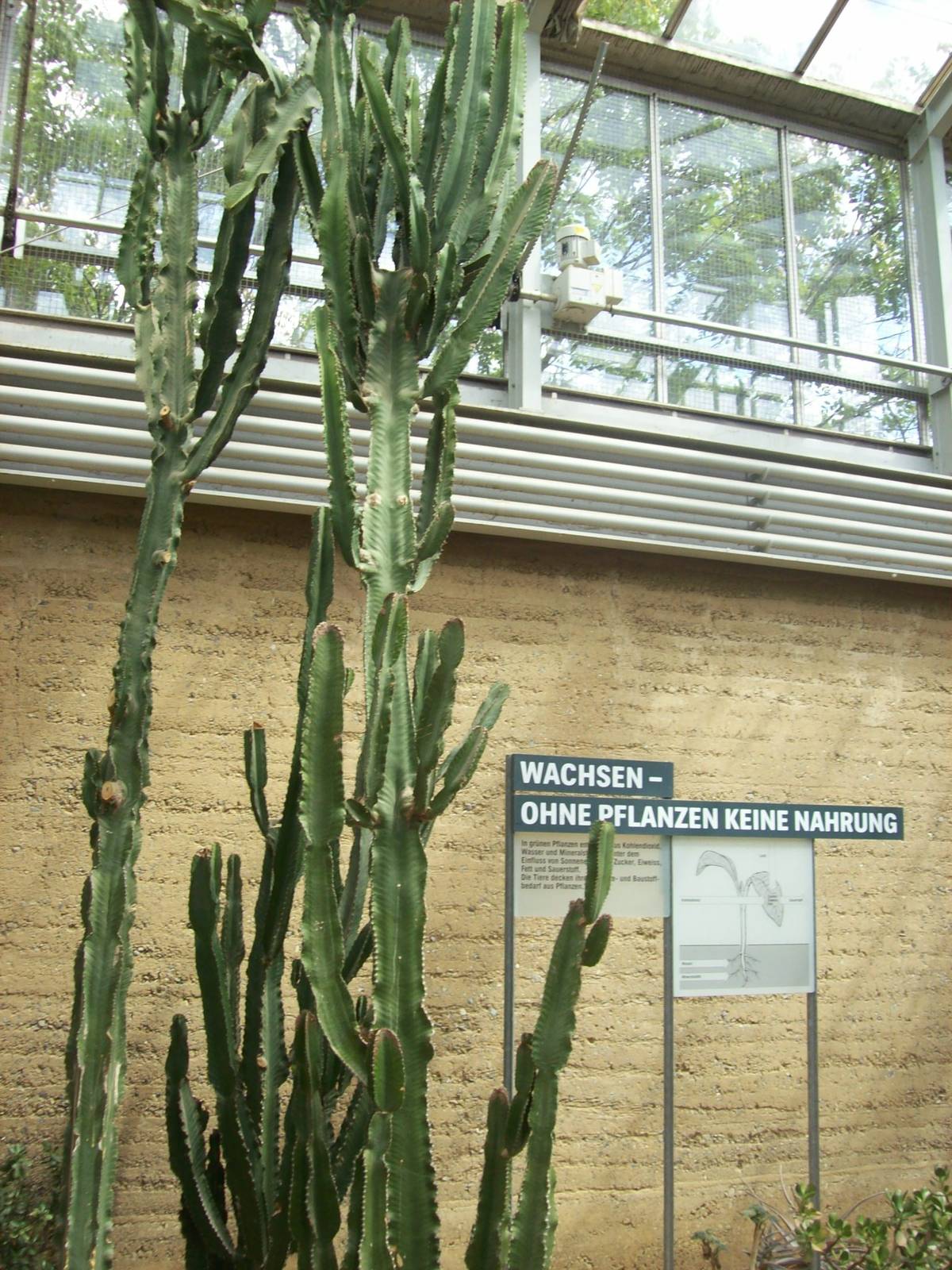 etosha house interior