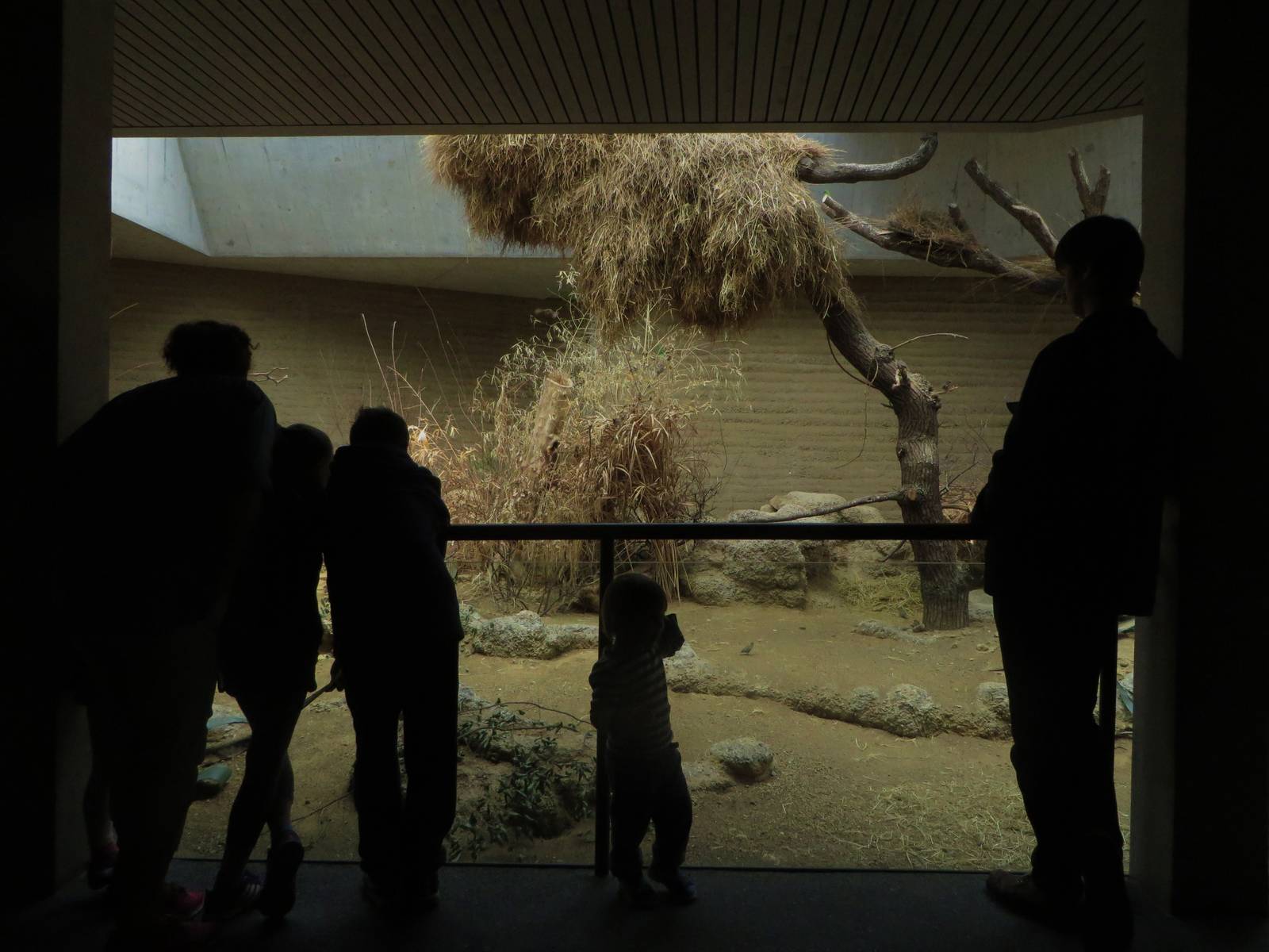 Etosha house - mixed enclosure