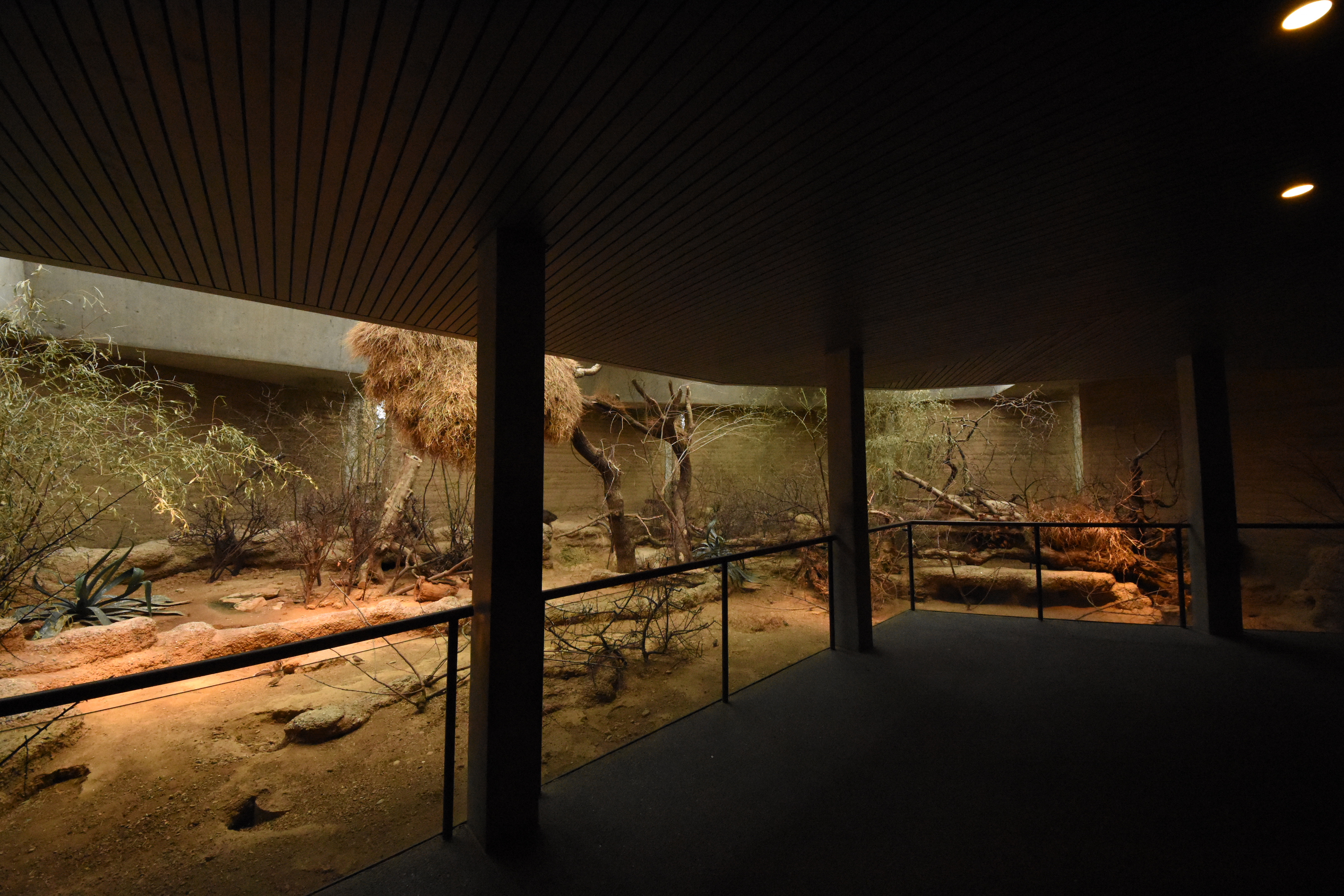 Etosha house mixed enclosure